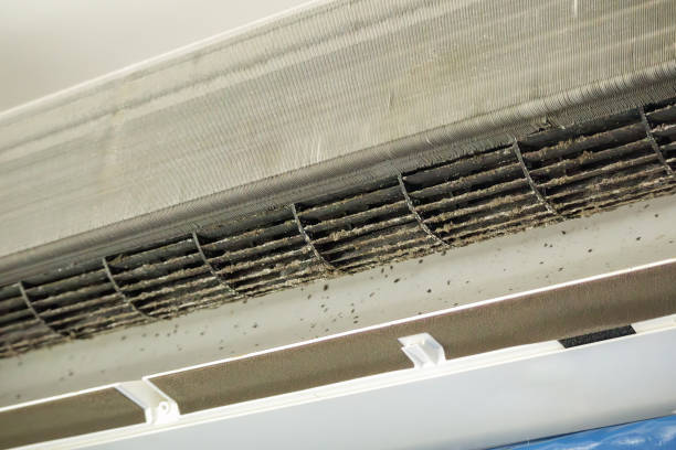 Best Residential Air Duct Cleaning  in Athens, GA